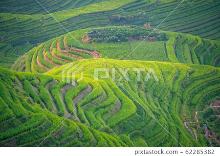View of the cascading Longji Rice Terraces View of the cascading Longji Rice Terraces 62285382