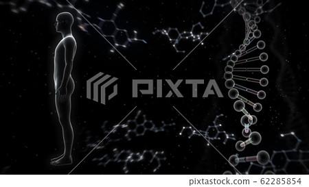 人體骨骼醫學人體醫學醫學科學頭骨X射線3d圖CG背景 人體骨骼醫學人體醫學醫學科學頭骨X射線3d圖CG背景 62285854