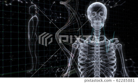 人體骨骼醫學人體醫學醫學科學頭骨X射線3d圖CG背景 62285881