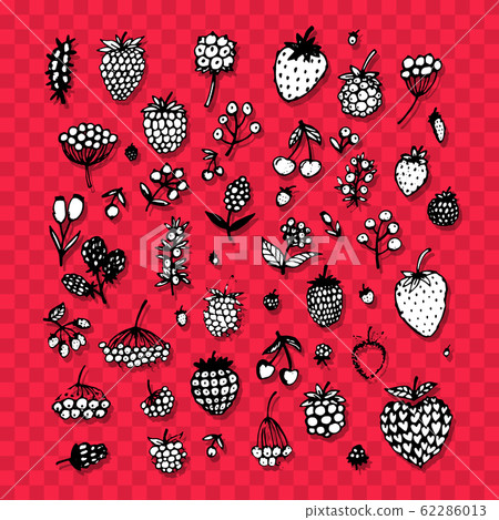 Berries collection, sketch for your design 62286013