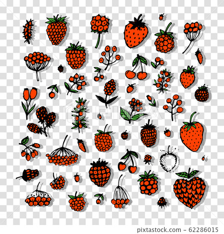 Berries collection, sketch for your design Berries collection, sketch for your design 62286015
