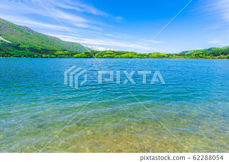 Lake Aoki early summer Nishina Sanko [Nagano Prefecture] 62288054