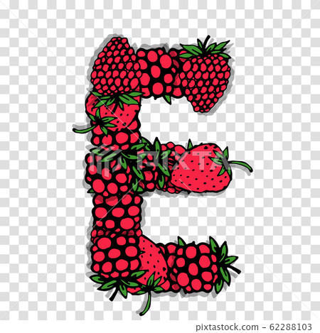 Letter E made from red berries, sketch for your design. Letter E made from red berries, sketch for your design. 62288103