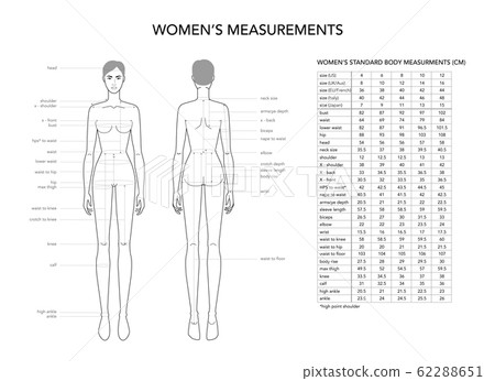 Womens measurements fashion terminology... - Stock Illustration ...