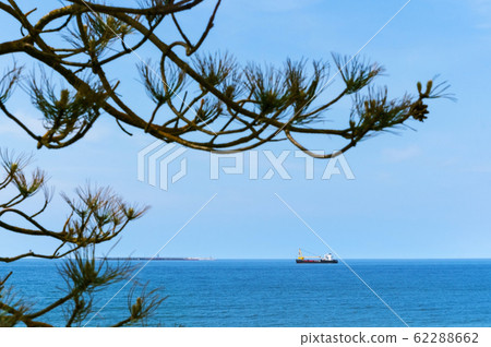 spruce branches and marine fishing vessel, ships spruce branches and marine fishing vessel, ships 62288662