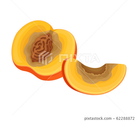 Spoiled and Rotten Peach Fruit with Skin Covered with Stinky Rot Vector Illustration 62288872