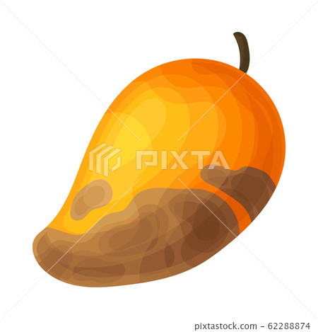 Spoiled and Rotten Mango Fruit with Skin - Stock Illustration [62288874]  - PIXTA