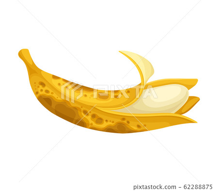 Rotten Banana with Stinky Rot Covered the Skin Vector Illustration Rotten Banana with Stinky Rot Covered the Skin Vector Illustration 62288875