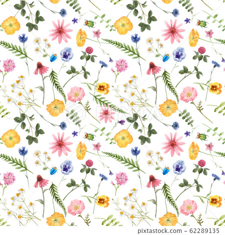 Beautiful vector floral summer seamless pattern with watercolor hand drawn field wild flowers. Stock illustration. 62289135
