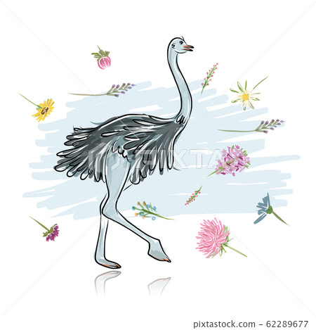 Ostrich sketch for your design 62289677