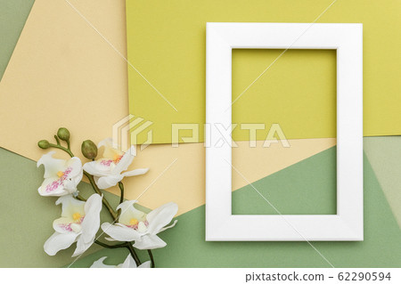 White frame and branch of orchid flower on geometric green shades paper background. Copy space, mockup for your design. Springtime or summer concept White frame and branch of orchid flower on geometric green shades paper background. Copy space, mockup for your design. Springtime or summer concept 62290594