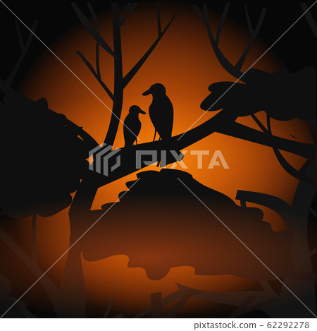 birds silhouettes sitting on branch escaping from fires in australia animals dying in wildfire bushfire natural disaster concept intense orange flames birds silhouettes sitting on branch escaping from fires in australia animals dying in wildfire bushfire natural disaster concept intense orange flames 62292278