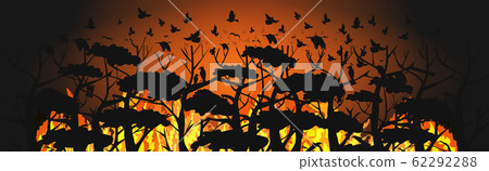 birds silhouettes flying over wildfire forest escaping from fires in australia animals dying in bushfire natural disaster concept intense orange flames horizontal vector illustration 62292288