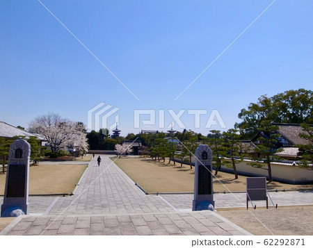 [Nara] Spring Yakushiji Temple (Sakura) 62292871