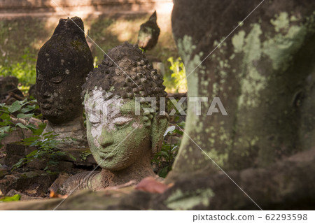 THAILAND CHIANG MAI WAT UMONG 62293598