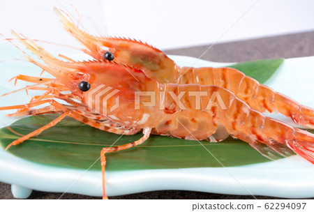 豬肉蝦 豬肉蝦 62294097