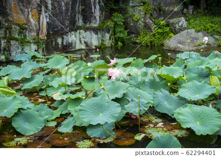 Juam Chung, Mungyeong City, Gyeongbuk Province Juam Chung, Mungyeong City, Gyeongbuk Province 62294401