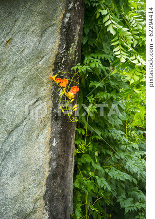 Juam Chung, Mungyeong City, Gyeongbuk Province Juam Chung, Mungyeong City, Gyeongbuk Province 62294414