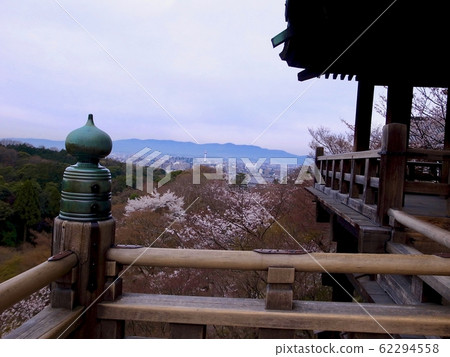 [京都]從清水寺眺望京都塔 62294558