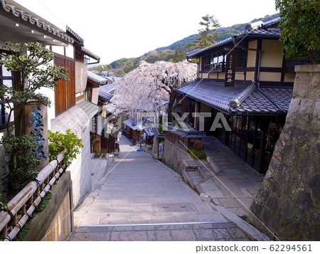 [京都] Saningzaka盛開的櫻花 62294561