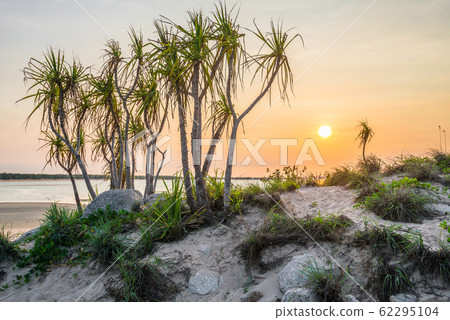 Sunset over Palm tree at East Woody island in Nhulunbuy town of Northern territory state, Australia. Sunset over Palm tree at East Woody island in Nhulunbuy town of Northern territory state, Australia. 62295104