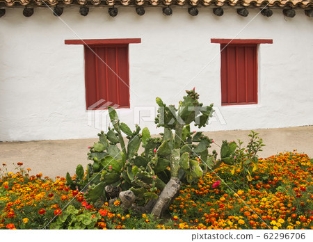 Cactus and flowers in front of a house with window Cactus and flowers in front of a house with window 62296706
