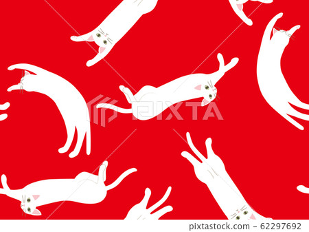 Pattern cat white cat cat red Pattern cat white cat cat red 62297692