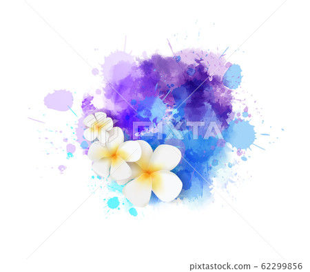 Abstract paint splash with frangipani flowers Abstract paint splash with frangipani flowers 62299856