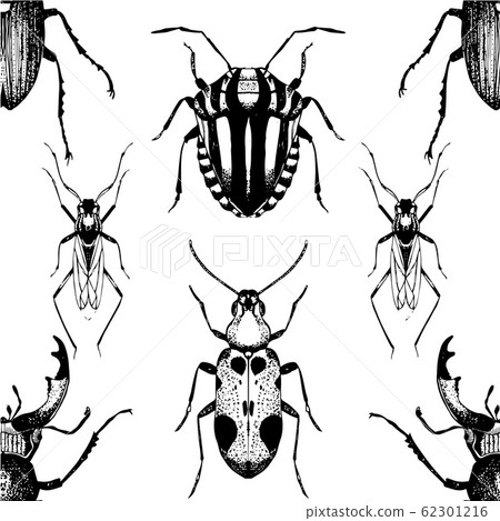 Seamless pattern with bugs and beetles. 62301216