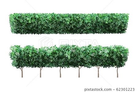 Realistic garden plant fence. Nature green seasonal bushes, tree crown bush foliage and green fence with cute flowers. Garden shrub vector illustration set Realistic garden plant fence. Nature green seasonal bushes, tree crown bush foliage and green fence with cute flowers. Garden shrub vector illustration set 62301223