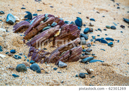 Kinnagoe bay in County Donegal, Inishowen has an extraordinary selection of colourful stones- Ireland Kinnagoe bay in County Donegal, Inishowen has an extraordinary selection of colourful stones- Ireland 62301269