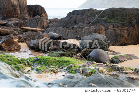 Kinnagoe bay in County Donegal, Inishowen has an extraordinary selection of colourful stones- Ireland 62301774