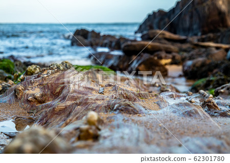 Kinnagoe bay in County Donegal, Inishowen has an extraordinary selection of colourful stones- Ireland Kinnagoe bay in County Donegal, Inishowen has an extraordinary selection of colourful stones- Ireland 62301780
