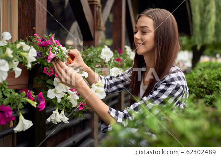 Female gardener pruning plants in flowerpots outdoors. 62302489