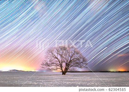 Harunire Tree and Star Trail 62304585
