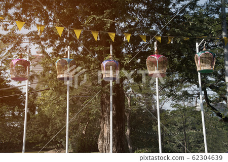 Bird cage hang on a pole in a park.  62304639