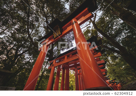 Fushimi Inari Shrine  62304912