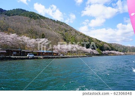 大津海津櫻花琵琶湖 大津海津櫻花琵琶湖 62306848