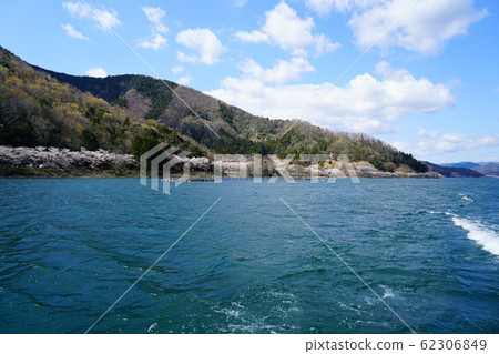 Kaizu Osaki Sakura Lake Biwa Kaizu Osaki Sakura Lake Biwa 62306849