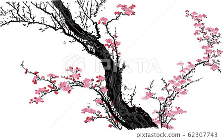 Ukiyo-e Sakura 15 Ukiyo-e Sakura 15 62307743