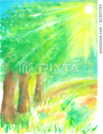 Forest hills after rain Forest hills after rain 62307783