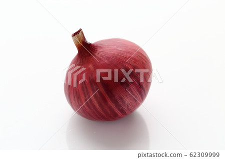 紫洋蔥 62309999