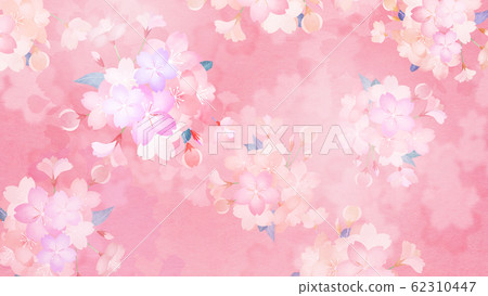 Background-Japanese-Japanese paper-Japanese style-Japanese pattern-Spring-Sakura 62310447
