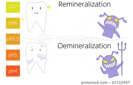 通過再礦化和脫礦質的pH值顯示牙齒和齲齒的圖像 62310497