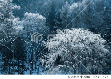 Hakuba Village winter scenery (frost ice) 62311373