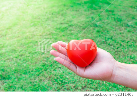 Red heart in the palm of the hand, in the Red heart in the palm of the hand, in the 62311403