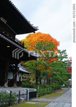 Kyoto Higashiyama Kenninji Autumn leaves Kyoto Higashiyama Kenninji Autumn leaves 62311601