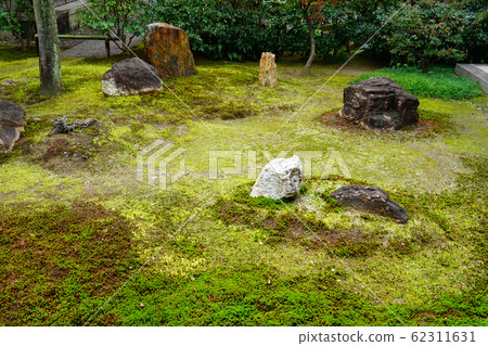 Kyoto Higashiyama Kenninji Autumn leaves Kyoto Higashiyama Kenninji Autumn leaves 62311631