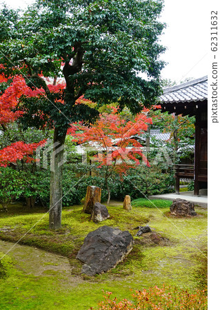 Kyoto Higashiyama Kenninji Autumn leaves Kyoto Higashiyama Kenninji Autumn leaves 62311632