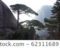World Heritage Huangshan Guyue Pine World Heritage Huangshan Guyue Pine 62311689